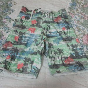 Adam Levine Swim Shorts Size Small